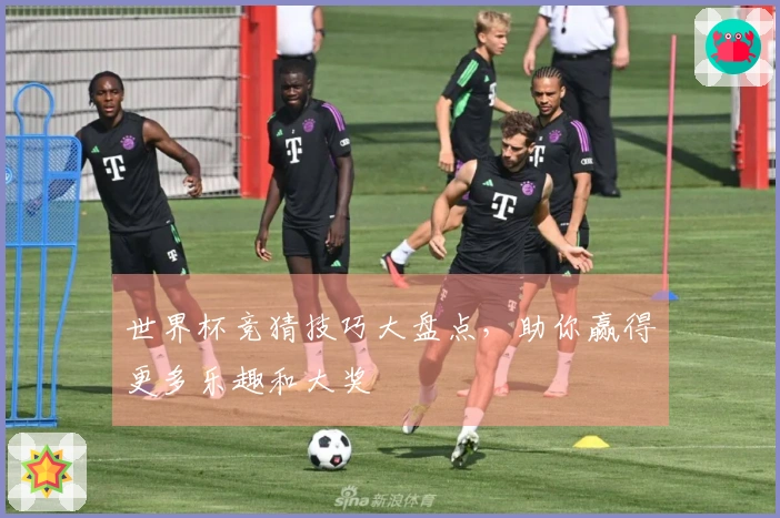 世界杯竞猜技巧大盘点，助你赢得更多乐趣和大奖