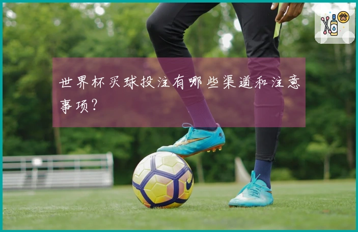 世界杯买球投注有哪些渠道和注意事项？