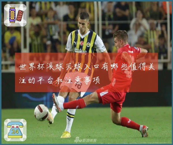 世界杯滚球买球入口有哪些值得关注的平台和注意事项